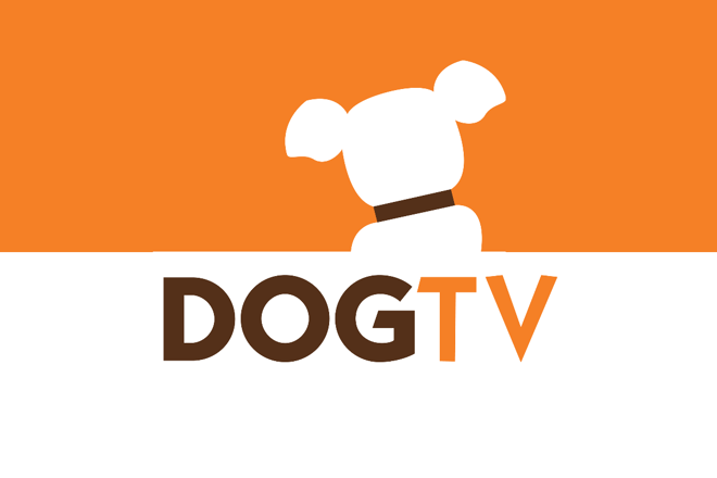 Dog TV é um canal de televisão exclusivo para cachorros